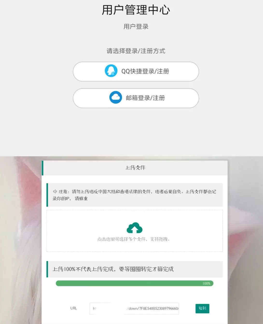 小猫咪网盘源码简洁实用网盘快捷登录自带后台