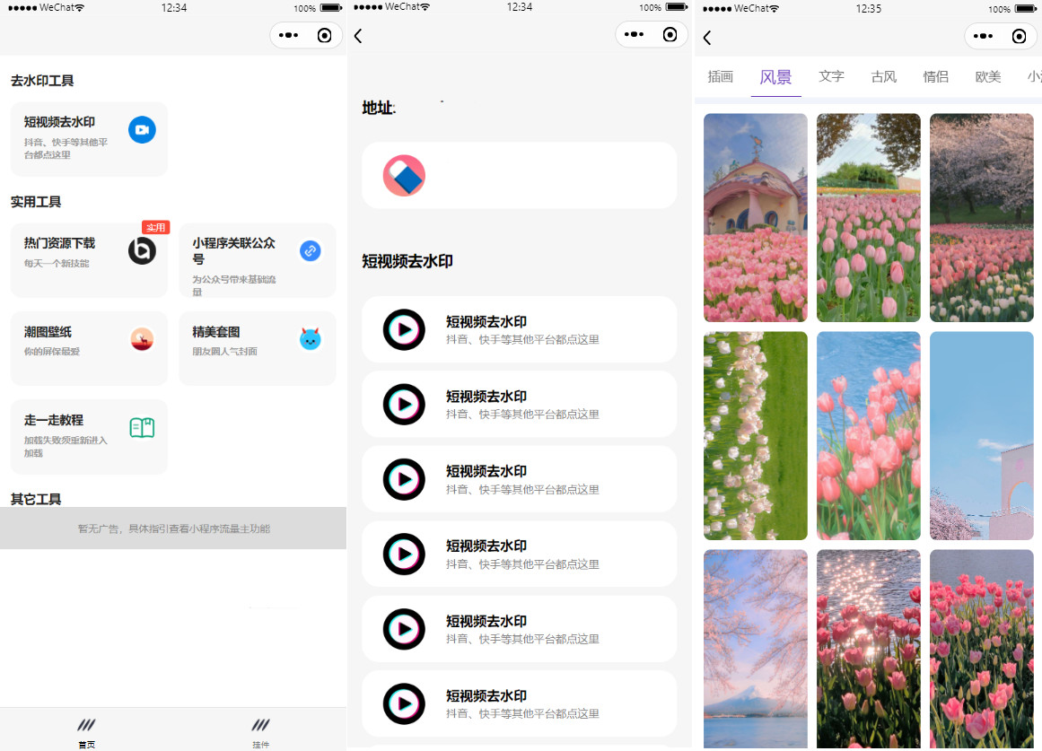 短视频去水印小程序多个解析接口头像挂件制作多种流量主模式源码